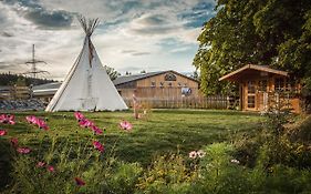 Ranchhouse Bubble - Westernstable - Horse